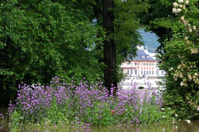 Hotel-Pension Dresden Villa Therese Malten 